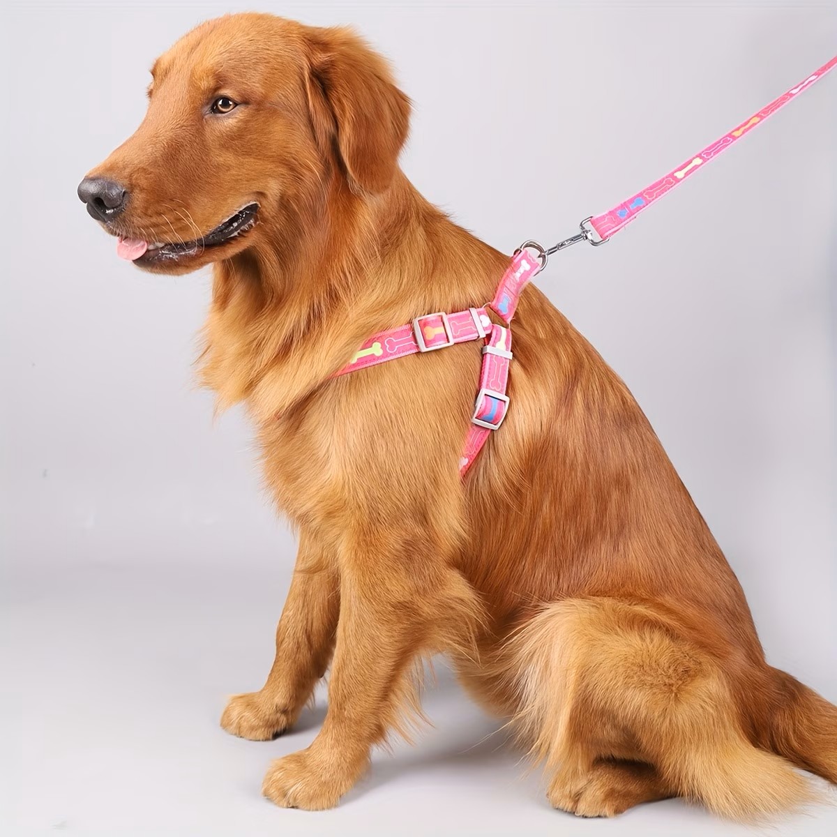 Pettorina Regolabile per Cani  - D Ring Strap recensione e prezzo