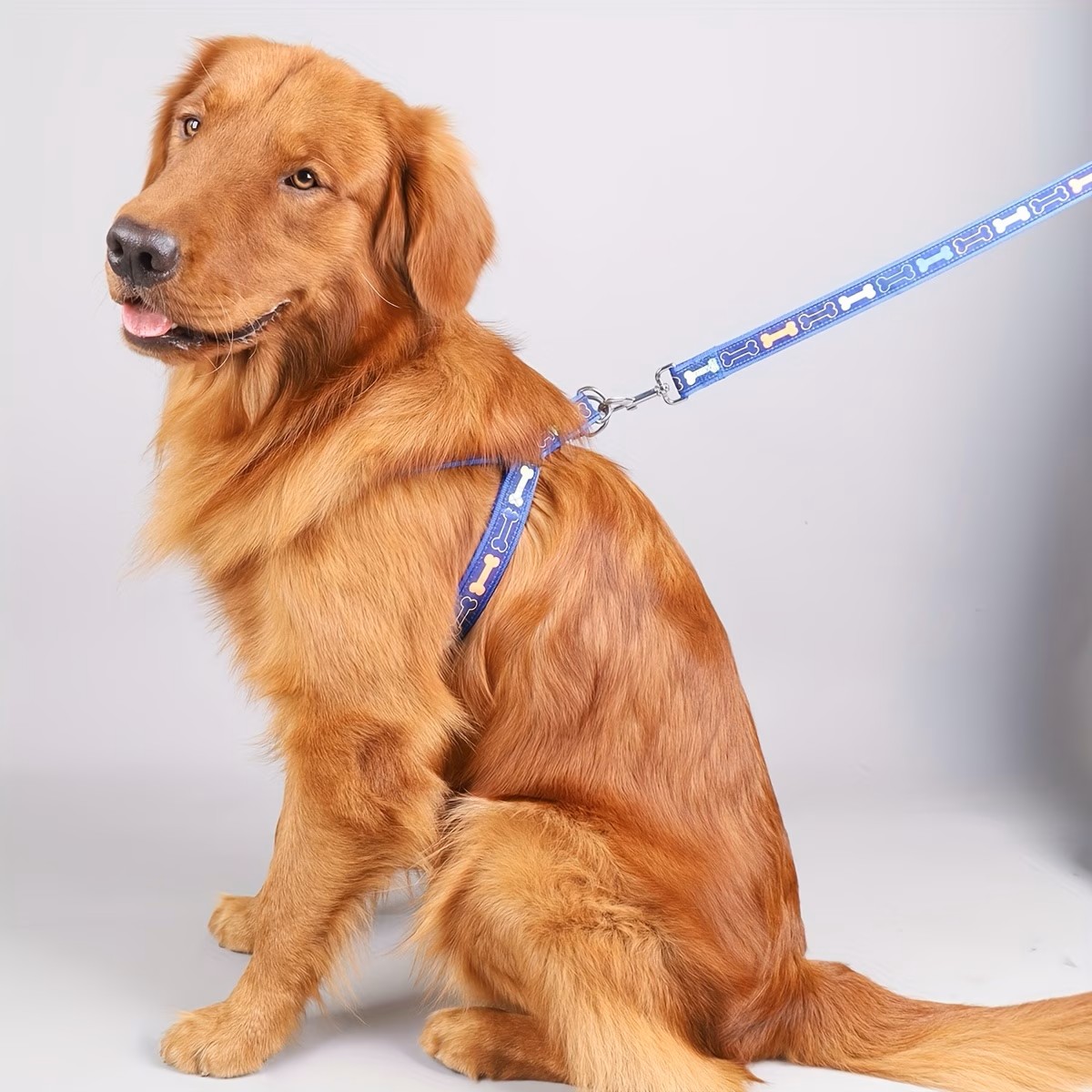 Pettorina Regolabile per Cani  - D Ring Strap recensione e prezzo